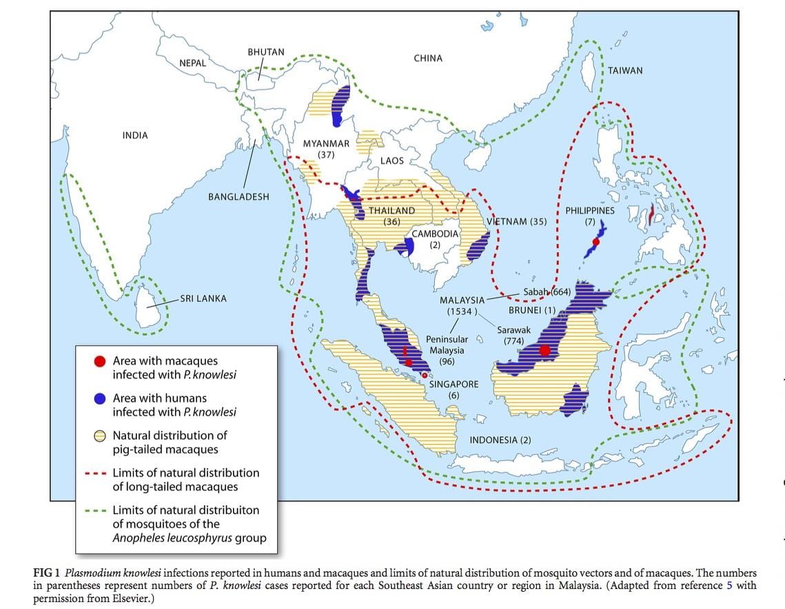mappa della malesia malaria