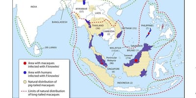 Mappa della malesia malaria